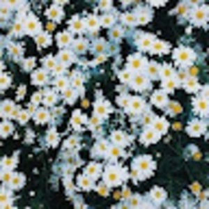 Meet your Posher, Kerry